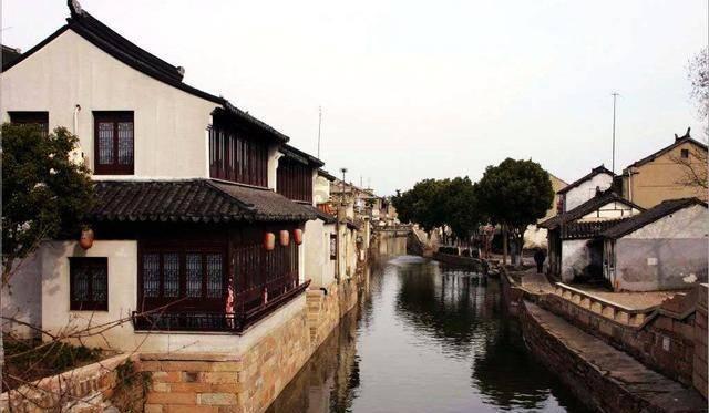 淮阳区委书记张建党调研工业项目建设和农业产业发展工作